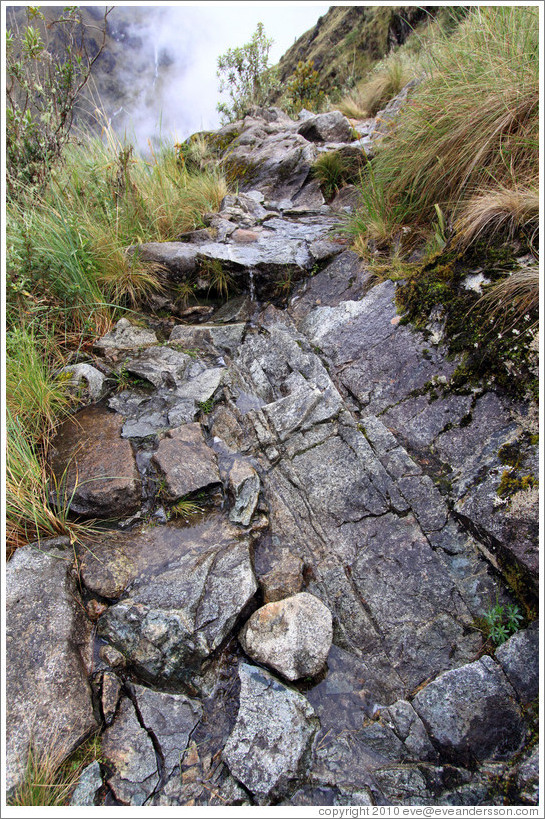 The Inca Trail, not a stream.