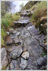 The Inca Trail, not a stream.
