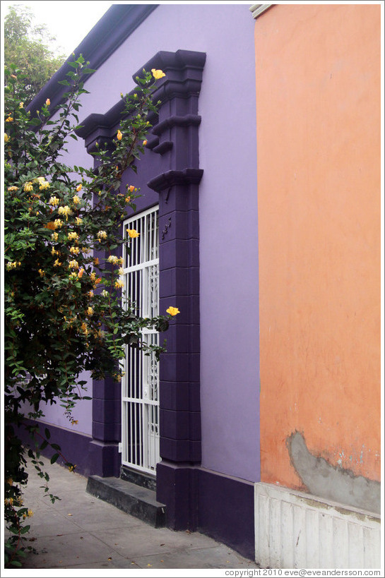 Purple and peach buildings, with yellow flowers. Calle Domeyer, Barranco neighborhood.