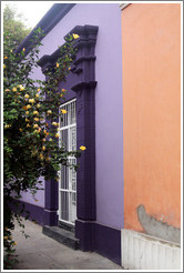 Purple and peach buildings, with yellow flowers. Calle Domeyer, Barranco neighborhood.