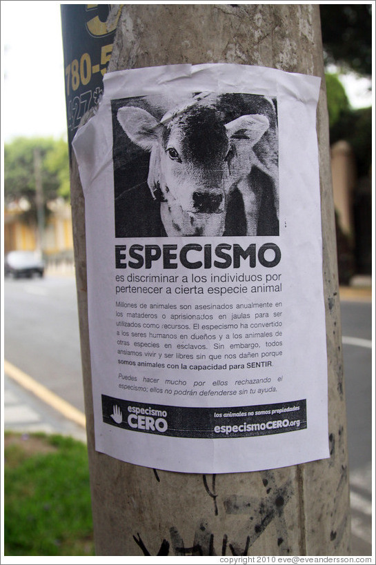 Flyer against Especismo (Speciesism) by <a href="http://www.especismocero.org">www.especismocero.org</a>.  Calle San Martin, Barranco neighborhood.
