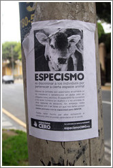 Flyer against Especismo (Speciesism) by <a href="http://www.especismocero.org">www.especismocero.org</a>.  Calle San Martin, Barranco neighborhood.