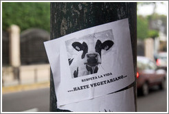 Flyer that says Respeta la Vida ... Hazte Vegetariano (Respect Life ... Become Vegetarian) by <a href="http://www.especismocero.org">www.especismocero.org</a>.  Calle San Martin, Barranco neighborhood.