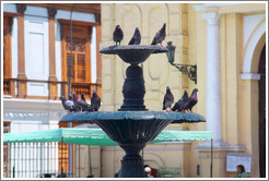 Fountain with pigeons, Iglesia de San Francisco, Historic Center of Lima.