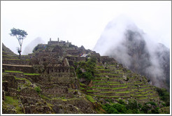 Machu Picchu.