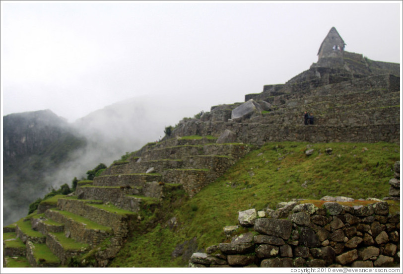 Terraces, Machu Picchu.