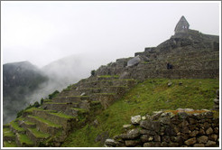 Terraces, Machu Picchu.