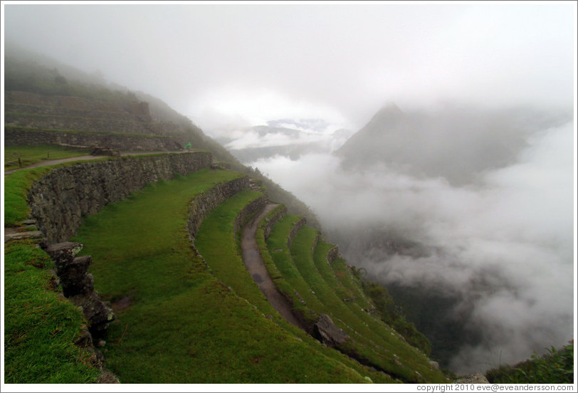 Terraces, Machu Picchu.