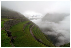 Terraces, Machu Picchu.