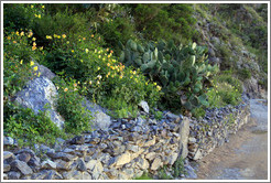 Garden, Ollantaytambo Fortress.