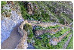 Terraces, Ollantaytambo Fortress.