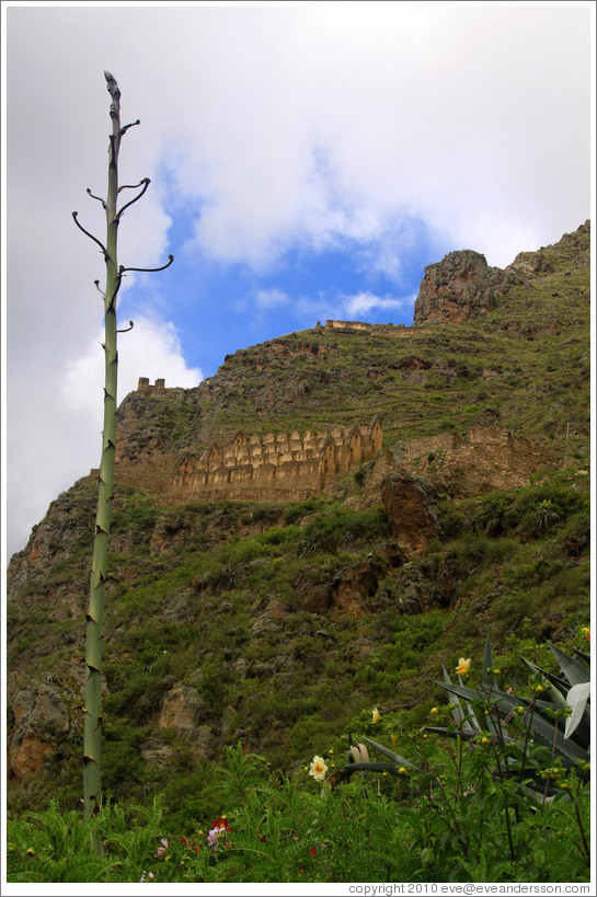 Ruins on Pinkuylluna hill.