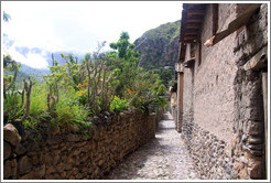 An Inca street.