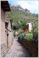 An Inca street, with ruins visible in the background.