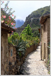 An Inca street.