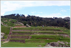 Terraces, Sacsayhuam?ruins.
