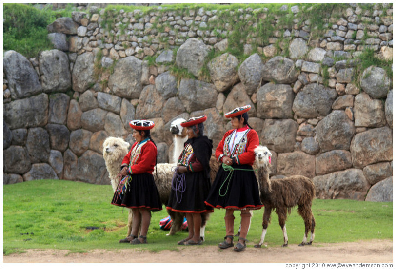 Three women with alpacas, Sacsayhuam?