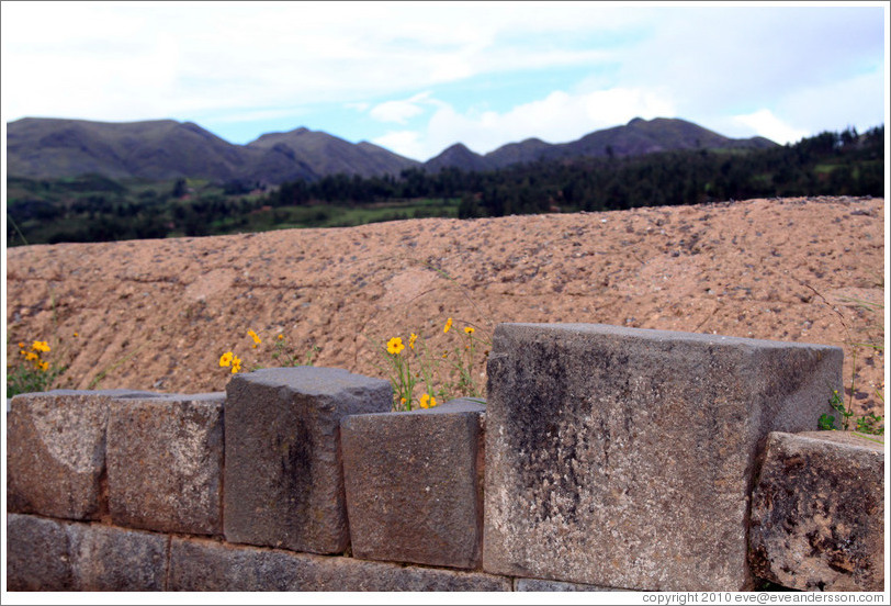 Blocks and flowers, Sacsayhuam?ruins.