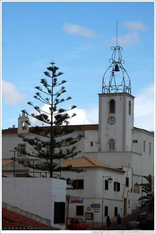 Clocktower and a nice tree.