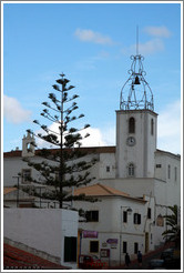 Clocktower and a nice tree.