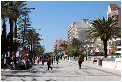 Avenida Infante Dom Henrique.