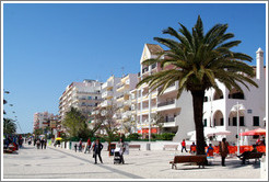 Avenida Infante Dom Henrique.