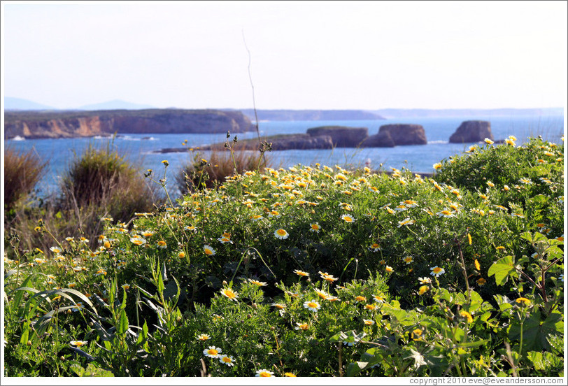 Small islands off the coast near Sagres.