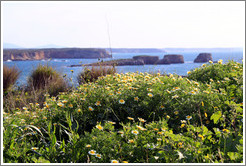 Small islands off the coast near Sagres.