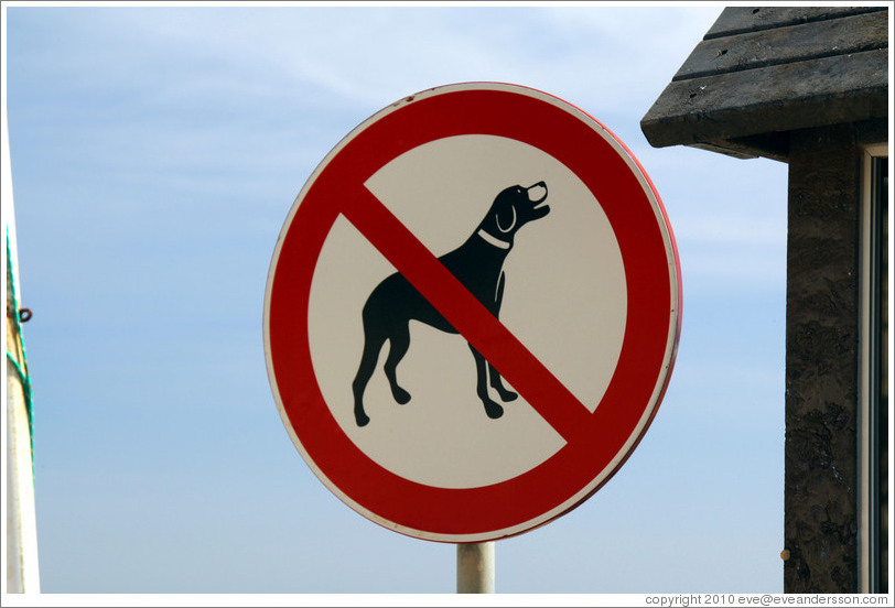 No Dogs sign, Praia da Mareta (Mareta Beach).