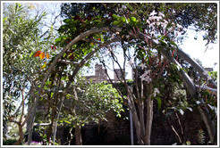 Garden, Tavira Castle.