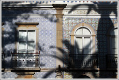 Tiled wall with shadows of palm trees, Pra?Dr Ant? Padinha.