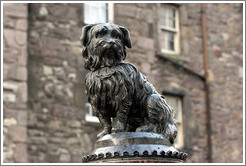 Greyfriars Bobby statue.  Candlemaker Row.  Old Town.