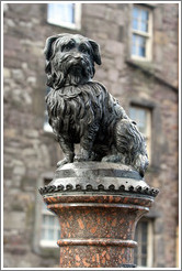 Greyfriars Bobby statue.  Candlemaker Row.  Old Town.