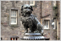 Greyfriars Bobby statue.  Candlemaker Row.  Old Town.