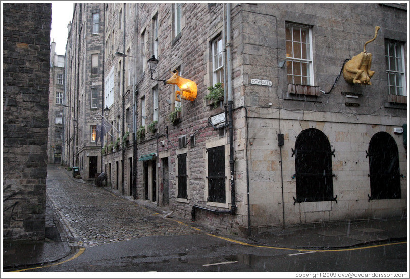 Building with cow front and back.  Cowgate and Victory Street.  Old Town.