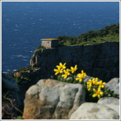 Cape Point, overlooking Cape of Good Hope.