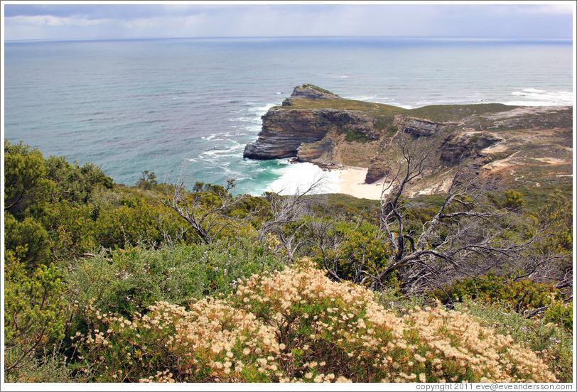 Cape Point.