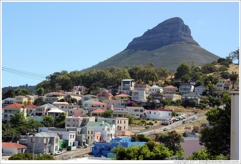 Bo-Kaap neighborhood in front of Lion's Head.