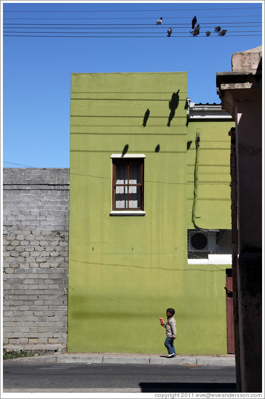 Boy walking underneath pigeons and their shadows. Chiappini Street, Bo-Kaap.