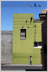 Boy walking underneath pigeons and their shadows. Chiappini Street, Bo-Kaap.