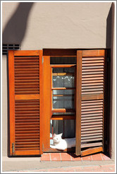 White cat on a windowsill. Chiappini Street, Bo-Kaap.