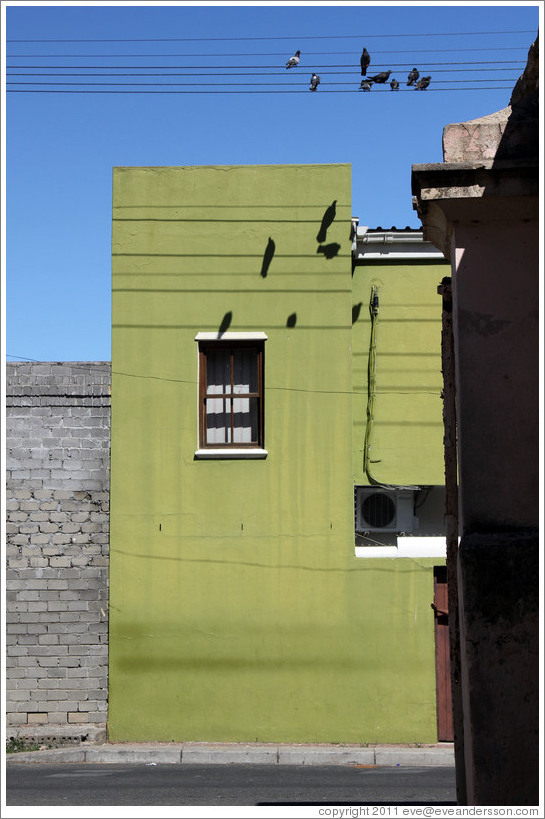 Green building with shadows of pigeons. Chiappini Street, Bo-Kaap.