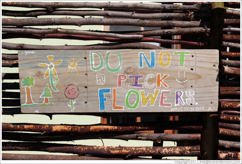 Do Not Pick Flowers sign, Dawes Street, Bo-Kaap.