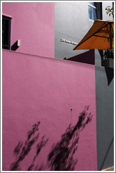 Purple and grey buildings. Rose Street, Bo-Kaap.