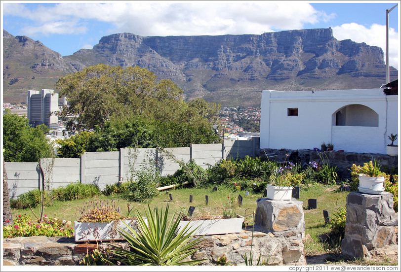 Tana Baru cemetery, Bo-Kaap, with Table Mountain behind.