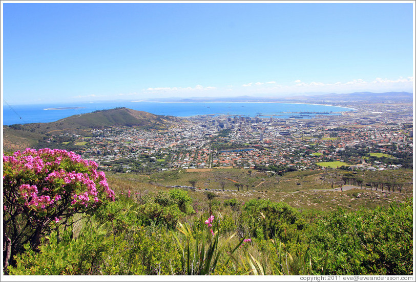 Cape Town viewed from Table Mountain.