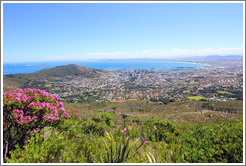 Cape Town viewed from Table Mountain.