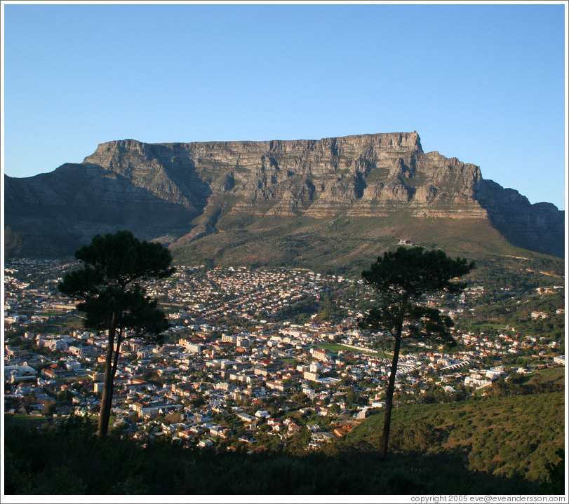 cape town table mountain 2 large jpg