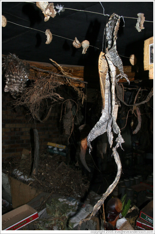 Storefront of Ndaba, a medicine man.  Langa township.