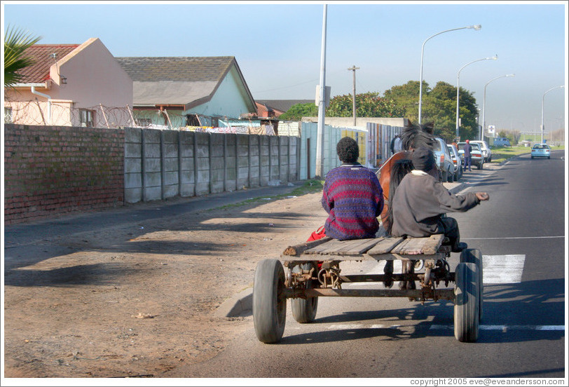 People riding on horse-drawn cart, collecting materials for recycling.  Montana township.